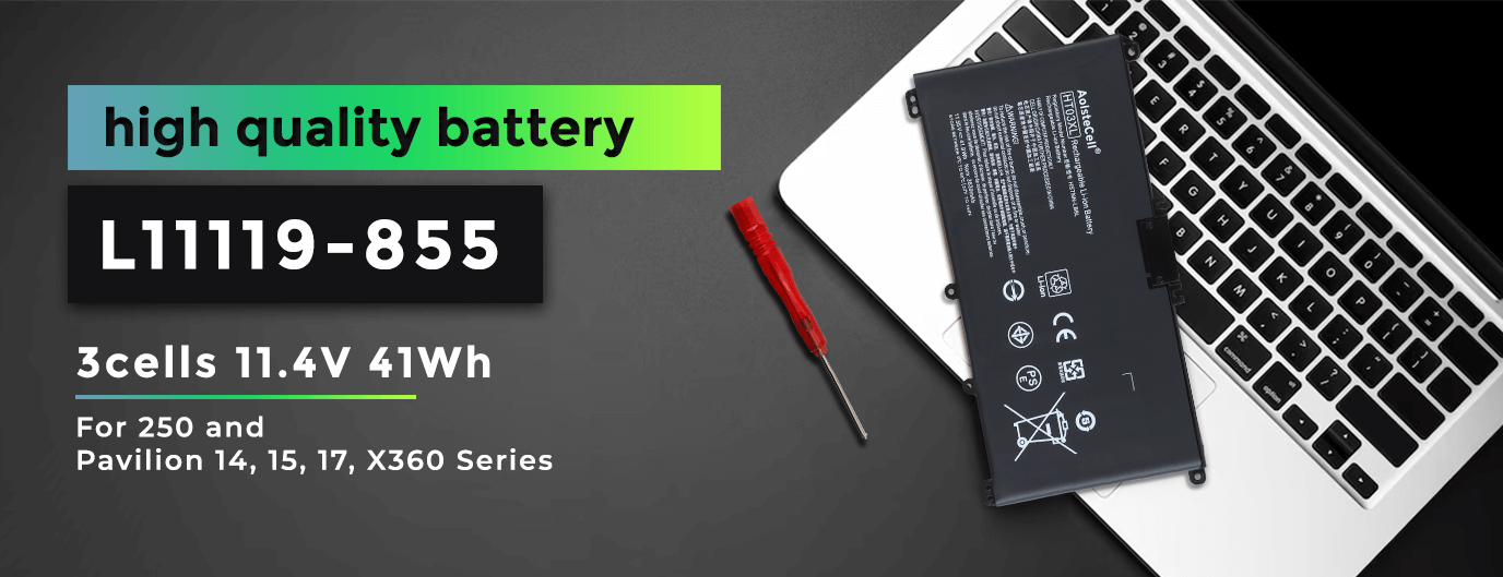 L11119-855 battery
